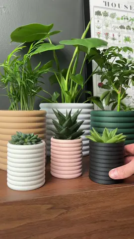 Replying to @Tik Toker new sizes and colors! #3dprint #plantsoftiktok #plantdecor #SmallBusiness 