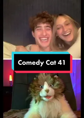 Replying to @T Comedy Cat is back for Part 41 of our series!