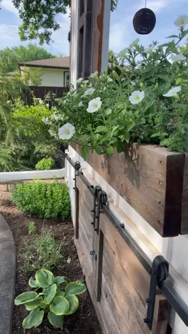 Flower things. This box is super vista petunias, angelonia, scaevola, and verbena. #backyardoasis #backyard #patio #fyp #fypシ #windowbox #flowers #plants #landscape #zone7a #oklahoma 