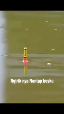 pelampung ngtrik mesin jahit #pelampungmancing #ngetrik #mas #kumbul #mancing #mancingempang #galatama 