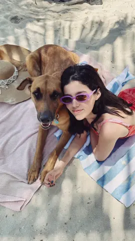 Perrito con lentes #dog #perrito #grabandocontenido #salemal #mascotas 