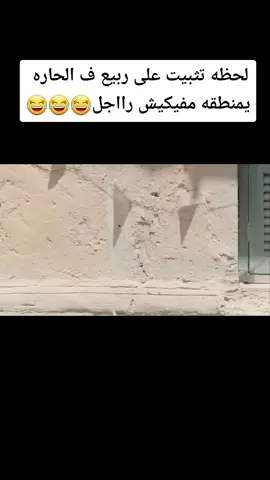 #معادا انت يكبير😂😂 _الشعب -الصينى ؛ماله حل &متابعه ،اكسبلوور🙂❤️