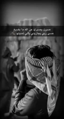 #شيله #تدور #دورات #الليالي 
