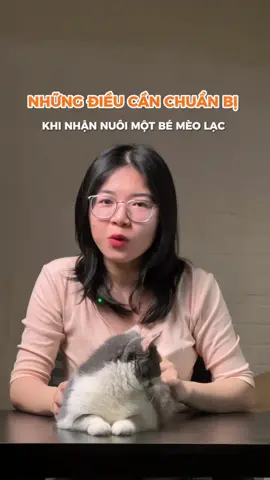 Cần chuẩn bị gì khi nhận nuôi mèo lạc?? #cat #pet #limmeo #catsoftiktok #LearnOnTikTok 