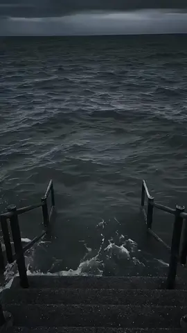 🤣🤣#funnyvideos #meme 