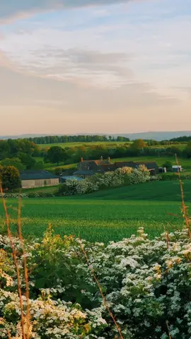 Farmers fields 🍃 // #foryou #fyp #travel #nature #countryside 