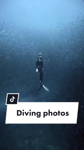 What do we think? 🐟🐟🐟 Video by @Elizabeth Morri Sides 🖤 #baitball #photogenicchallenge #diving #freediving 