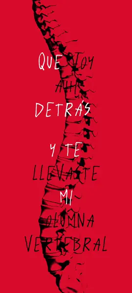 72 HORAS, Por favor camina muy despacio ⏱️ #josemadero #conversacionessobreanatomia #carmesidelux #carmesi #pepemadero 