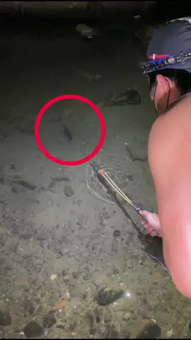 Spear Fishing @ Night #fishingIsLife #newtrend #viral #viraltiktok #FishingAdventures #fypage #DiskartengOFW #fyp #viralvideo #fishing #spearfishing 