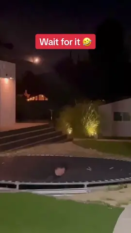 There he goes #funnyfail #trampolinefail #shoutoutot (via itsmekelligarner/IG)