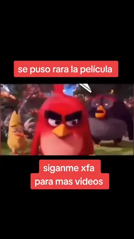 siganme para mas #angrybirds #yametekudasai #parati #humor #viral 