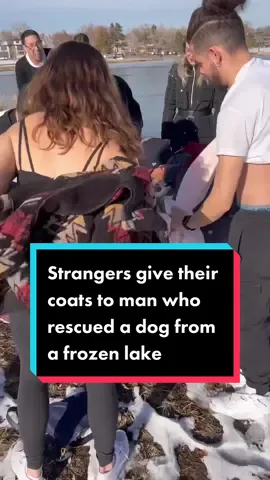 No hesitation. This is what humanity looks like! #feelgood #positivity #rescue #denver #foryoupage