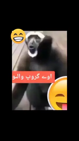 group alyo jago😆#fypシ #foryoupage #foryou #NewPepsiHitMeLike #viral_video 