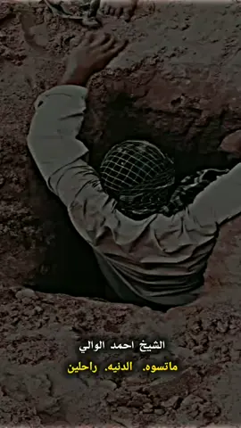 #آلَشـــــــيـــــــّخـــــــ #احمدالوائلي