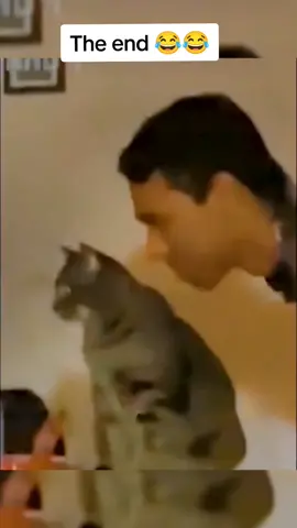 The end thouth 😂😂 #fun #foryoupage #pranks #animals #funny #foryou #fyp #fypシ #funnyvideos #pet #prank #kids #kidsoftiktok #dog #cat #cute #duet  #😂😂 