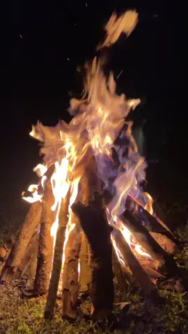 fire##aestheticvibes #videoestetik #vibesmalamhari #fireonfire #storywavibesmalam #darkvibesaesthetic #aestheticvideo #videovibesestetik #videodarkaesthetic #estetikvideo #pesonaindonesia #night #trendkembangapi #storyvideomusik #ruangmusik #animal 