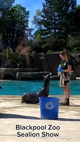 #blackpool #zoo #sealionshow #fyp #viral #wildlife #myers #dayout #Vlog 