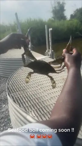 Crabs Are Running 🦀🦀🦀 In South East Louisiana ice chest full  #fishing #fyp #bayoulife #fish #crabs #crab #crabing #louisiana #foryou  