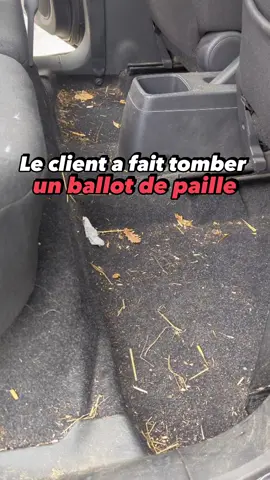 #paille #pourtoi #nettoyageauto #satisfying #satysfaction #CleanTok 