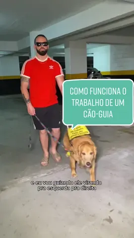 Respondendo a @katyferreira Como funciona o trabalho de um cão-guia 