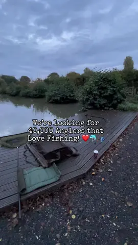 Early Morning Fishing! 🤷‍♂️🎣 #fyp #foryoupage #foryou #fishing #fishinglife #fishtok #angler #carpfishing #nayzofishing #viral 