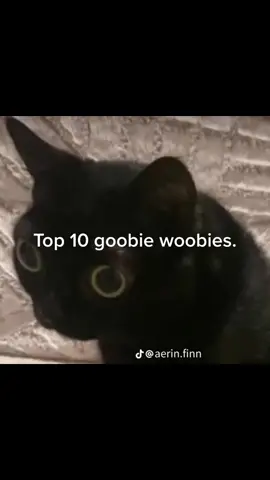 #catsoftiktok #top10goobywoobies 