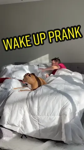 This prank worked perfectly