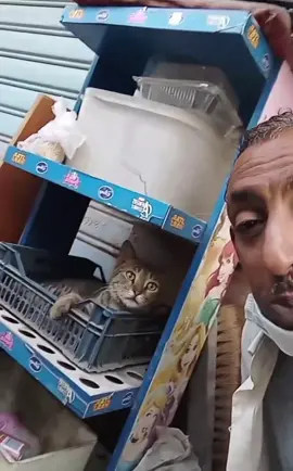 Farooq finds a cat in a basket 