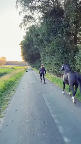 #horse #girl #equestrian #horsesoftiktok 