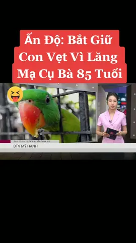 Ân Độ : Bắt giữ con vẹt vì tội lăng mạ cụ bà 85 tuổi 😆 #Tintức24/7 #tintuc #tinhothomnay #tinnong #tinmoimoingay #tinhot #Tintức24h #tinnhanh24h #tinmoivn #tinnong24h #tinmoi24h #tinhottrongngay #việtnam🇻🇳💪 #Xuhuong #xuhuongtiktok #Trendhot #Mỹ #Ukraine #Nga #Tinmoi #theanh28 #trending 