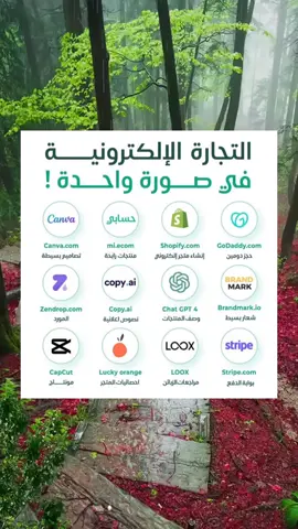 #التجارة_الإلكترونية#فليكسي_ستورم_أرسلي#التجارة#الدفع_الإلكتروني#التجارة_الالكترونية#martship#ريادة_المال#مارتشيب_العالم_أقرب 