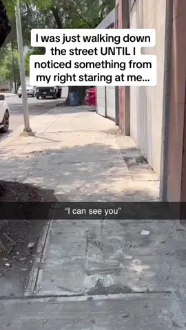 I wonder what he was thinking 😂😂😂 Follow @Pubity for more #Pubity (@collab)