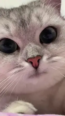 😘