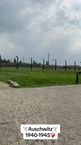 Får aldrig glömmas❤️‍🩹 #foryou #fördig #auschwitz 