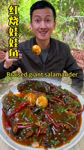 Braised giant salamander have you ever tried it