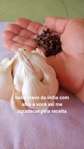 #dica #dicas 