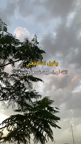 #الشافعي #foryou #fypシ #foryoupage #اكسبلور #السعودية #capcut #tiktok #viral #اكسبلورexplore #اكسبلورر #تصميم_فيديوهات🎶🎤🎬 #تصميمي #erdoğan #الشعب_الصيني_ماله_حل😂😂 #افلام #movie 