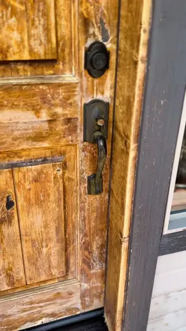 Could there be abything better than your dogs greeting you at the door? 🥹 Collars: @Hypnotic Dog  use code INDIE #surprisedogs #bestbuds 