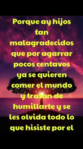 #hijosmalagradecidosconsuspadres💔😢😭🥺 #hijosmalagradecidos #malagradecido #perohayundiosquetodolove 