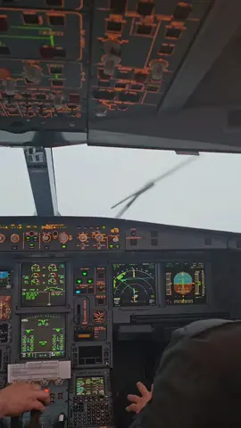Landing in Seoul with rain, Aterrizaje en Seul con lluvia #a330 #pilot #aviation #crewlife 