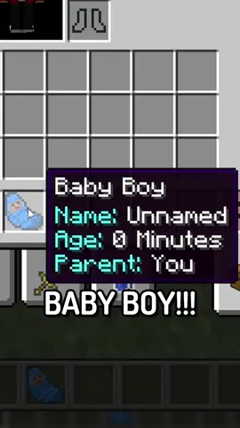 The Minecraft FAMILY MOD?!? | #Minecraft#minecraftvideo#minecraftmod#joeysaf#viral#funny
