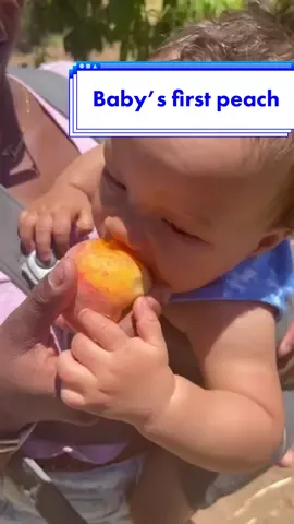 Enjoying the start of summer with peach picking 🍑 ☀️ 