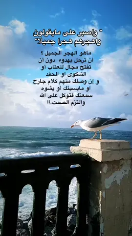 #صباح_الخير #واصبر_على_مايقولون …#استمع_ثواني_يكتب_لك_اجر 
