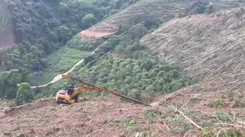 Xúc đào cần thò thụt vươn xa 28 m gắp gỗ keo #xucdaocanthothut28m 