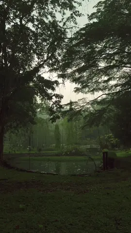 Replying to @blitzzz This is Buitenzorg #rainvibes #bogor #indonesia 