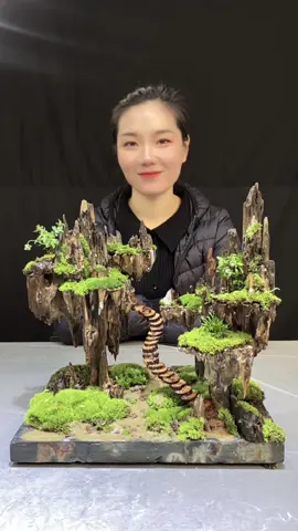 #Fish tank landscaping#Mossy landscape#Natural landscape#microlandscape#Glass aquarium#fyp #foryou #foryoupage #Landscape #handmade #Natural art
