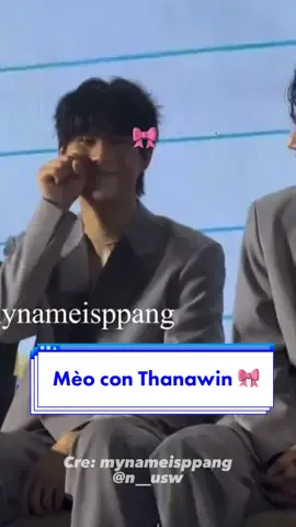Bé mèo con của ai đây nha 🎀🥰 Nũng nịu đáng yêu chớt tui 🥹 #MySchoolPresidentFMTinPPD2 #SatangWinny #สตางค์วินนี่ #WinnySatang #วินนี่สตางค์ #satangks #winynny #fyp #viral #GMMTV 