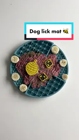new style of dog enrichment video what do we think?? #rawfeddog #dogenrichment #enrichmentfordogs 
