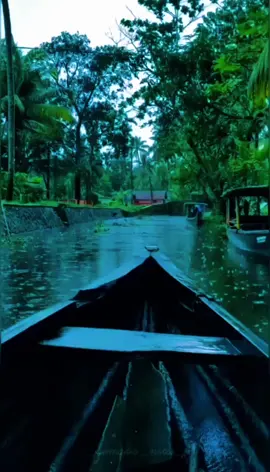 🤎ജിവിതം ഒന്നേ ഉള്ളൂ...... കൂടെ ആരൊക്കെ ഉണ്ടെങ്കിലും ഇല്ലെങ്കിലും ഒറ്റയ്ക്ക് സന്തോഷിക്കാൻ പഠിക്കുക ..... ഒറ്റയ്ക്ക് യാത്ര പോകുക ...... കുറച്ചു നേരം എങ്കിലും തനിച്ചിരിക്കുക.... ആരും ഇല്ലെങ്കിലും ജീവിതത്തെ മുന്നോട്ടു കൊണ്ടുപോകാൻ നമുക്ക് കഴിയണം.. നമ്മൾ വരുന്നതും പോകുന്നതും എല്ലാം തനിച്ചാണ് എന്ന് ഓർക്കുക !!!.🤎 ശുഭദിനം🌹🌹🌹#goodmorning #صباح_الخير #bahraintiktokers🇧🇭 #bahrain🇧🇭 #nahrain #malayalamsongs #malayalam #music 