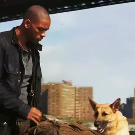 💔yo llore con esta película  el nombre de la película es soy leyenda #hola #sad #estoytriste #estoymal #paratiiiiiiiiiiiiiiiiiiiiiiiiiiiiiii #triste #videostristes #yonosecualfuelarazon #willsmith #perros #perromuere #parati #llorar #soycreador 